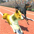 警犬跨栏冲刺(Dog Racing Game:Pet Animal run Simulator)